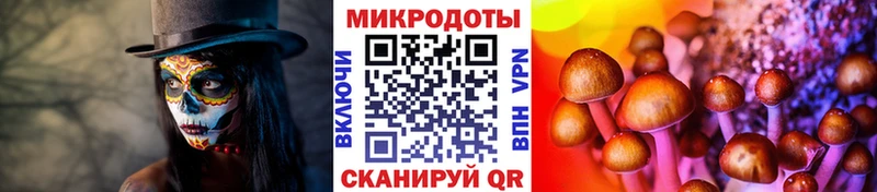 Галлюциногенные грибы GOLDEN TEACHER  дарнет шоп  Новомосковск 