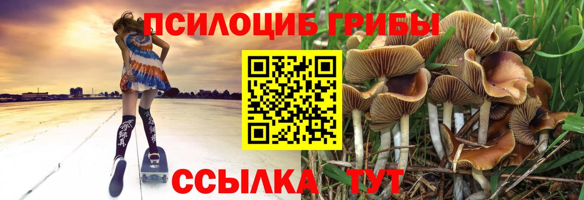 Псилоцибиновые грибы мухоморы  где продают наркотики  Новомосковск  Вход с VPN 