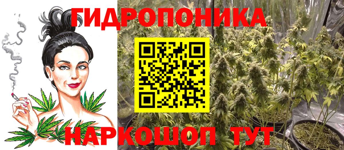 Шишки марихуана LSD WEED  МАРИХУАНА индика  Бошки Шишки VHQ  Вход с VPN  Новомосковск  Марихуана Ganja 